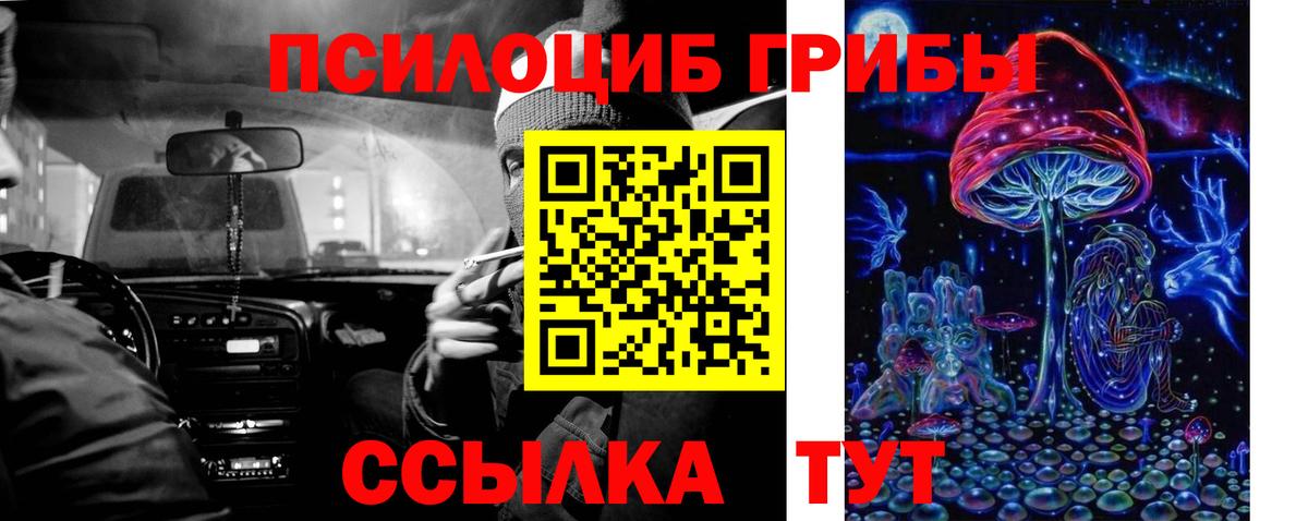 Галлюциногенные грибы мицелий  Галлюциногенные грибы мухоморы  Вход с VPN  Камышлов 
