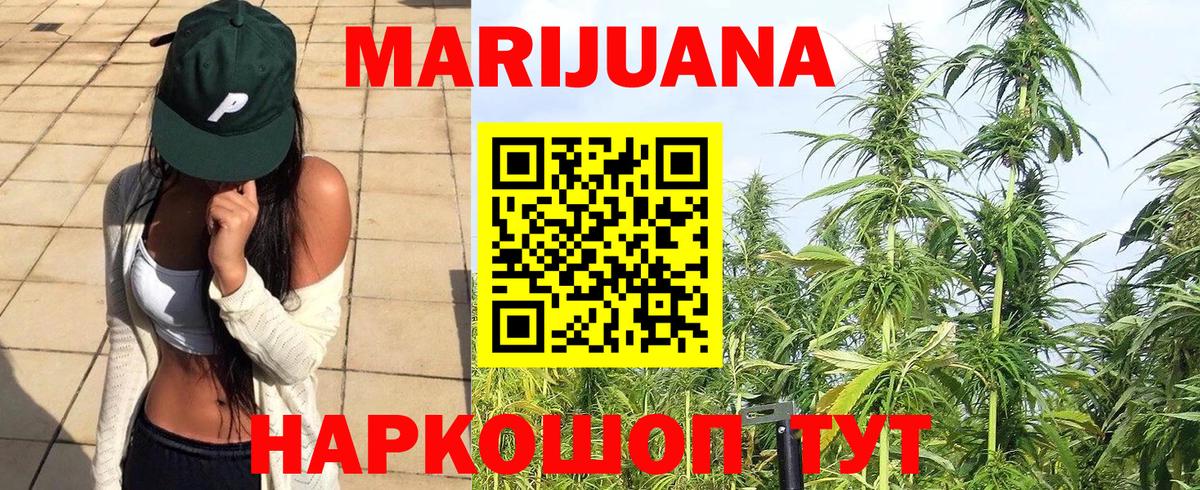 МАРИХУАНА Bruce Banner  Шишки марихуана OG Kush  Вход с VPN  Камышлов  Бошки Шишки ГИДРОПОН 
